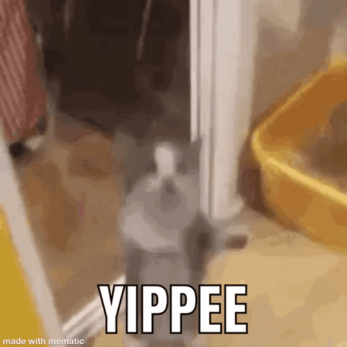 GIF
